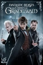 Fantastic Beasts: The Crimes of Grindelwald Fantastic Beasts: The Crimes of Grindelwald
