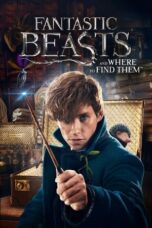 Fantastic Beasts and Where to Find Them (2016) Fantastic Beasts and Where to Find Them (2016)