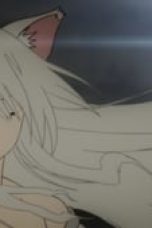 yX56jlC8O5PEtvqjjzRiQooWtVz