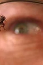 vpXc5zctIc2N0PQif3fG0TGypaX