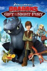 Dragons: Gift of the Night Fury (2011) Dragons: Gift of the Night Fury (2011)