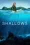 Nonton Film The Shallows (2016) Nonton Film The Shallows (2016)